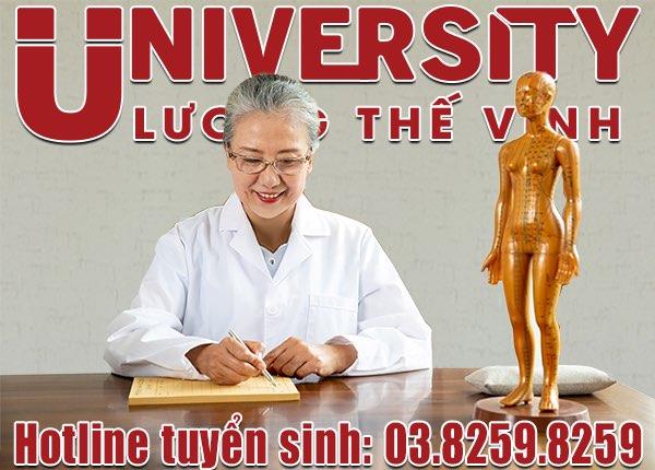 Bác sĩ Y học cổ truyền