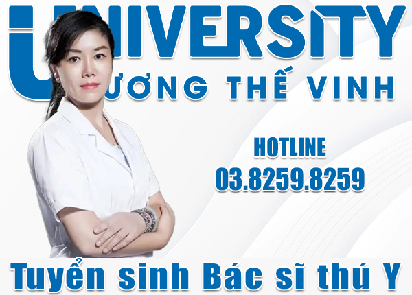 Tương lai ngành Bác sĩ thú y sẽ có thu nhập “khủng”