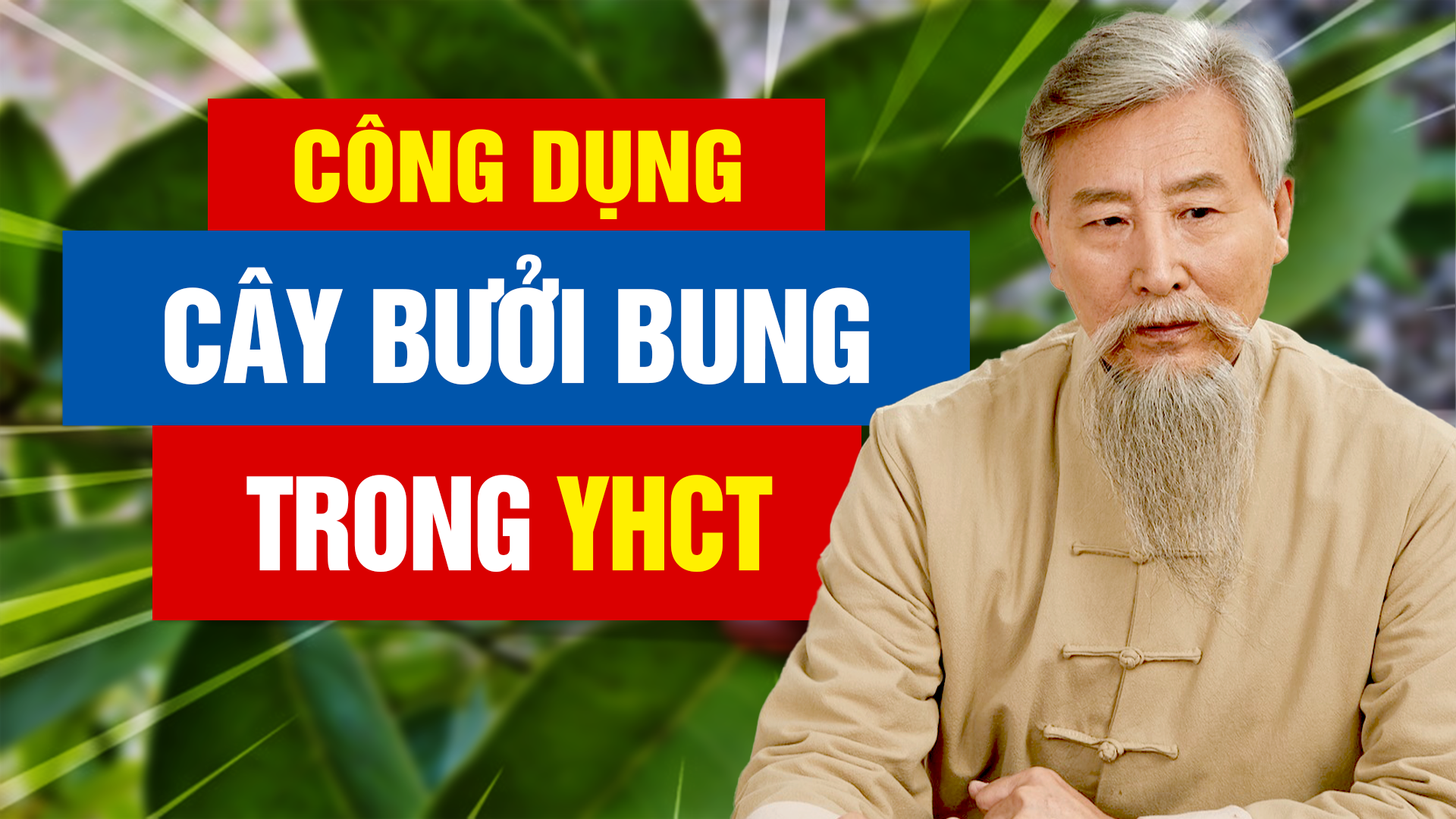 cay buoi bung