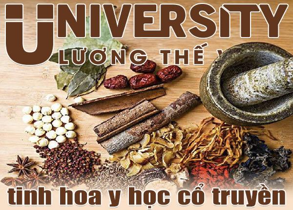 tinh hoa y hoc co truyen