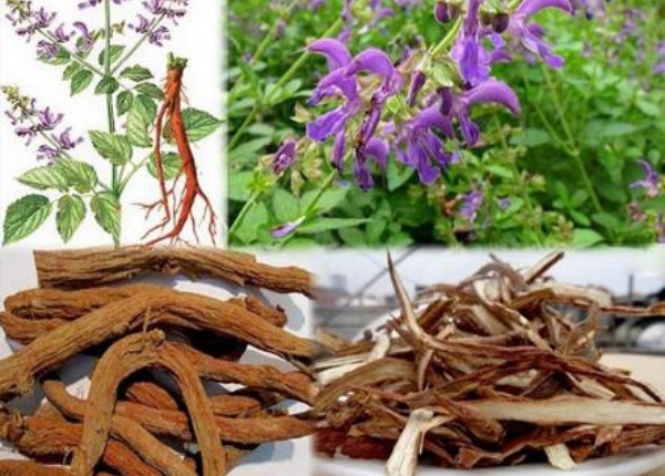 Những thảo dược y học cổ truyền giúp cải thiện tuần hoàn máu não