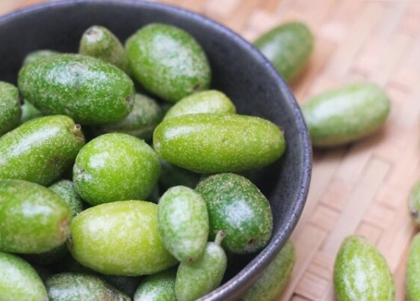 Thiết kế chưa có tên