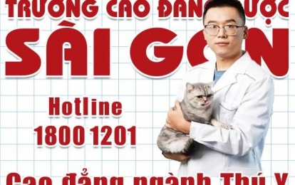 Học Cao đẳng Thú Y có được cấp Chứng chỉ hành nghề không?