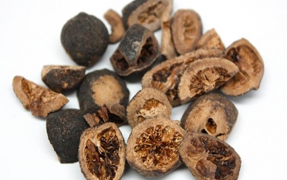 Chỉ xác – Vị thuốc quý với nhiều công dụng từ thiên nhiên