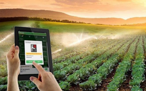 Làm giàu từ nông nghiệp nhờ công nghệ thông tin