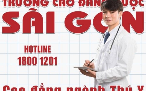 Bằng Cử nhân Cao đẳng ngành Thú Y có được cấp Chứng chỉ hành nghề thú y không?