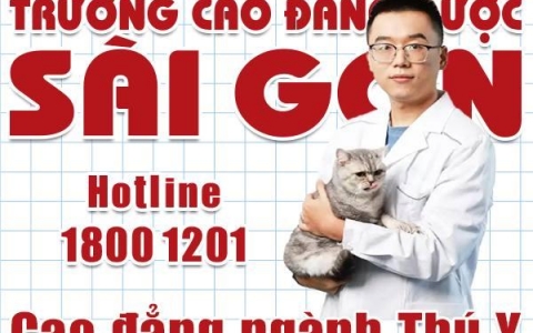 Học Cao đẳng Thú Y có được cấp Chứng chỉ hành nghề không?