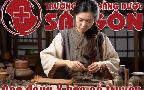 Học Cao đẳng Y học cổ truyền có thể liên thông Đại học ngành Bác sĩ Y học cổ truyền
