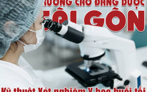 Địa chỉ Trường Cao đẳng Kỹ thuật Xét nghiệm Y học Tp Hồ Chí Minh