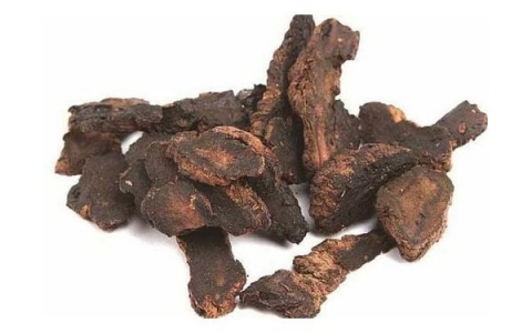 Cốt toái bổ - Vị thuốc cổ truyền bồi bổ xương khớp.