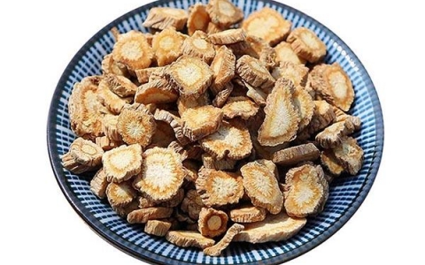 Phòng Phong - Vị thuốc quý chữa phong thấp và dị ứng