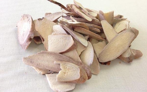 Bạch thược - Vị thuốc quý từ ngàn xưa đến nay
