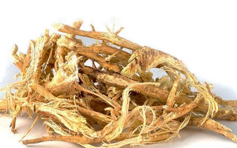 Hoàng kỳ - Vị thuốc bổ khí quý giá từ thiên nhiên