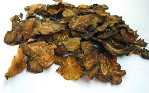 Xuyên khung – Thảo dược nhiều tinh hoa của Đông Y