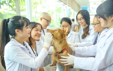 Học ngành Bác sỹ thú y có khó không?