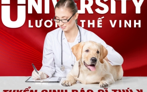 Học Bác sĩ thú y chuyên ngành chăm sóc chó cưng ở đâu?