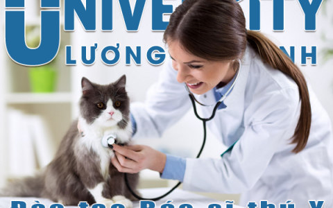 Học gì để trở thành Bác sỹ thú y?