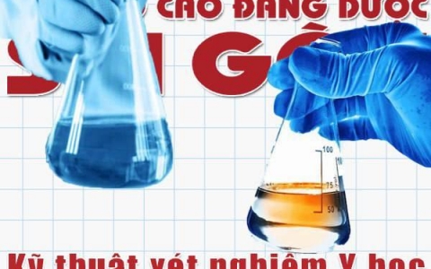 Trường Cao đẳng Kỹ thuật xét nghiệm y học TP.HCM nào đào tạo tốt?