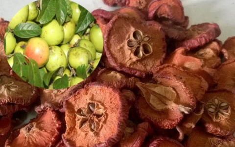 Quả sơn tra – vị thuốc quý trong Đông y và công dụng chữa bệnh