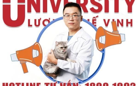 Xét tuyển bổ sung  nguyện vọng Đại học ngành Bác sĩ Thú Y năm 2025