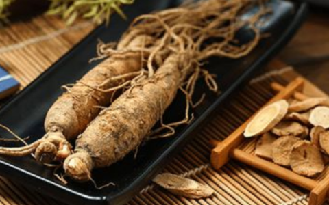 Thanh dinh thang – Bài thuốc Đông y thanh nhiệt giải độc, trị sốt cao mê sảng