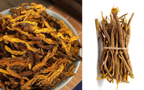 Hoàng liên giải độc thang – Bài thuốc thanh nhiệt giải độc kinh điển trong Y học cổ truyền